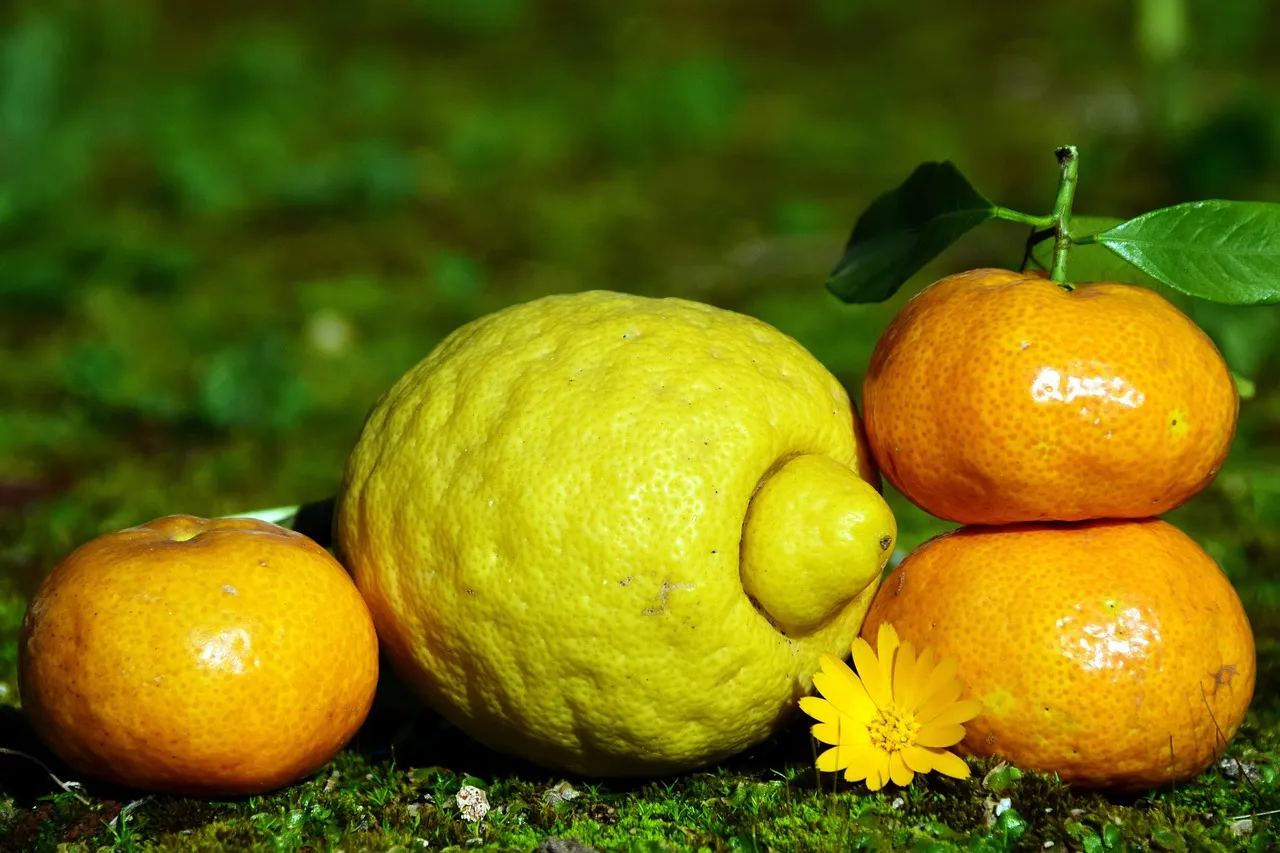 Tangerine