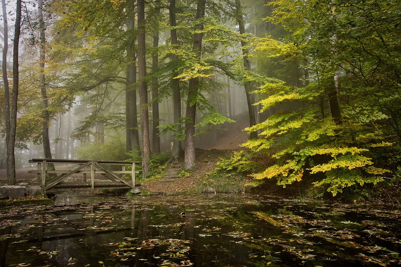 Crisp Autumn Air