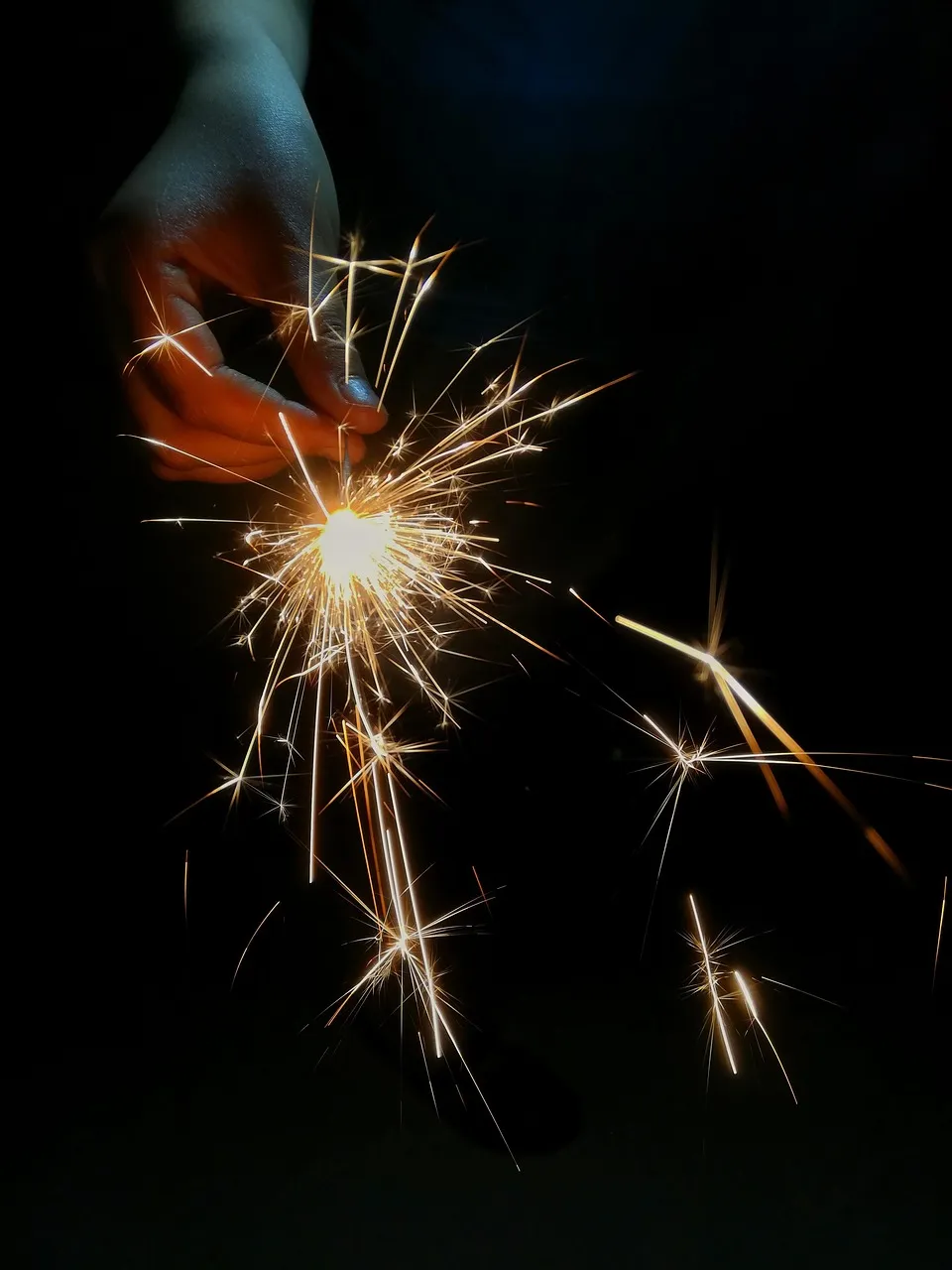 Wildfire