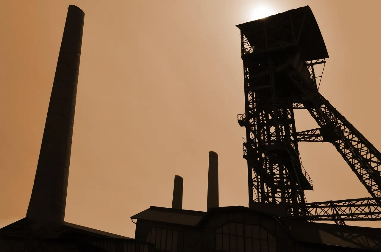 Coal