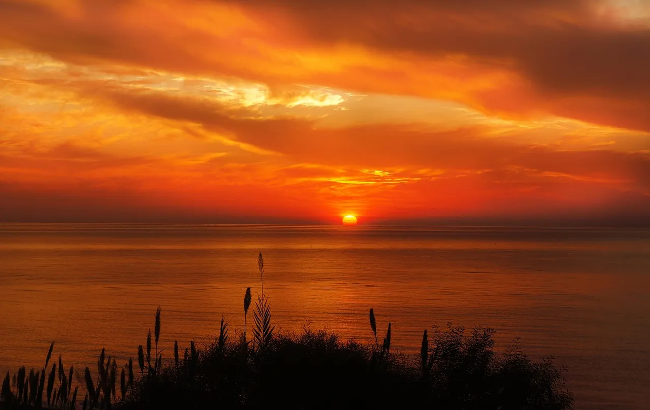 Summer Sunset