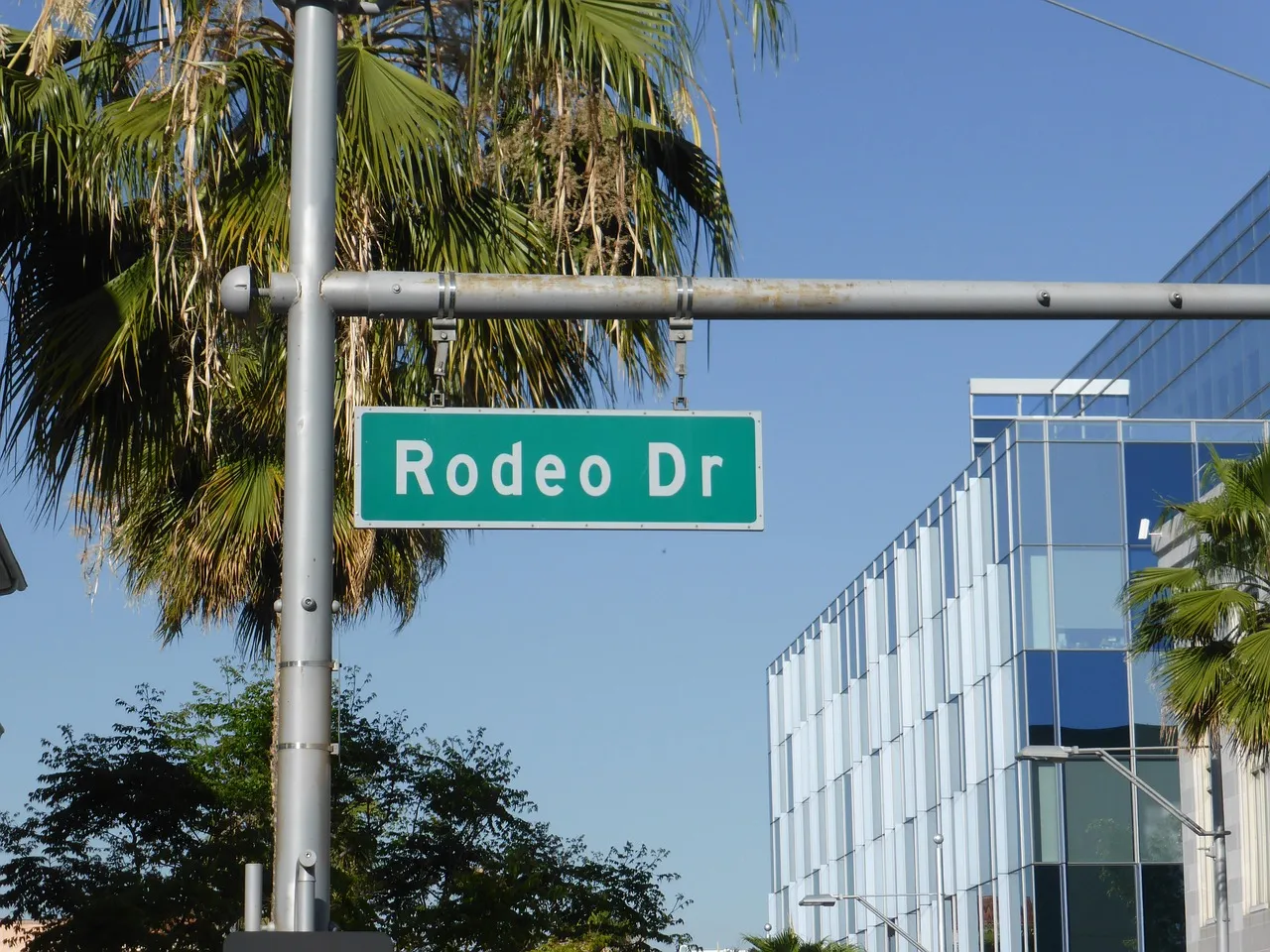 First Rodeo
