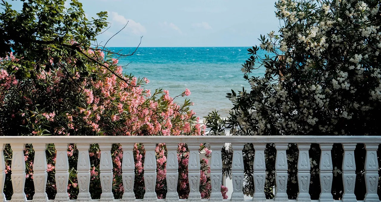 Meet Me in Paradise