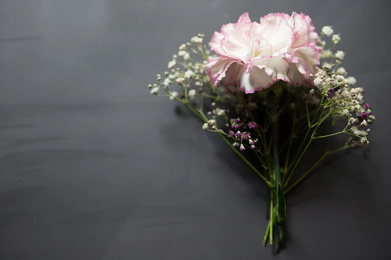 Carnation