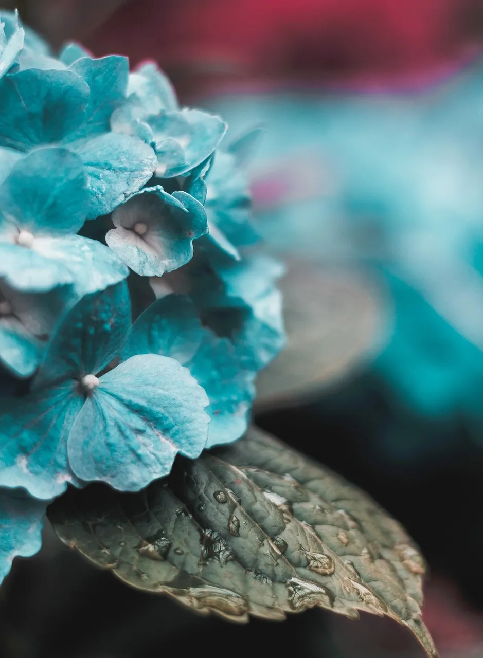 Atomic Teal