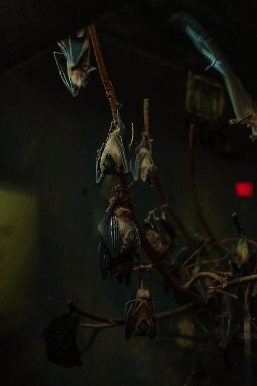 Bat Wing