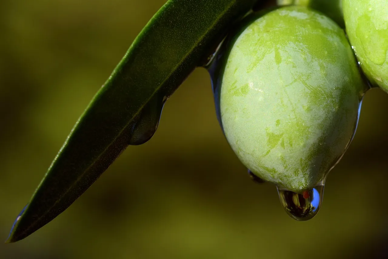 Olive You