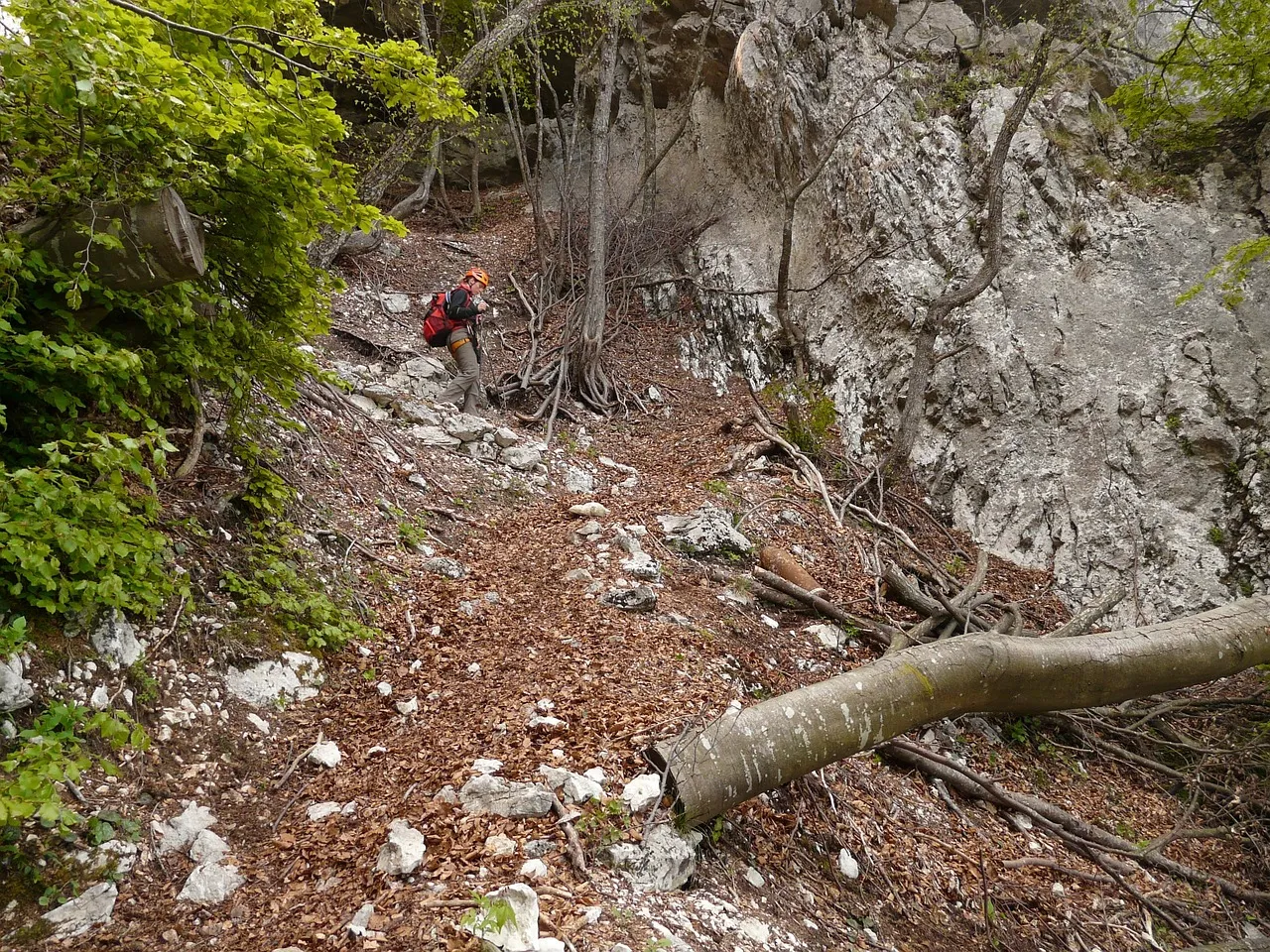 Long Way Down