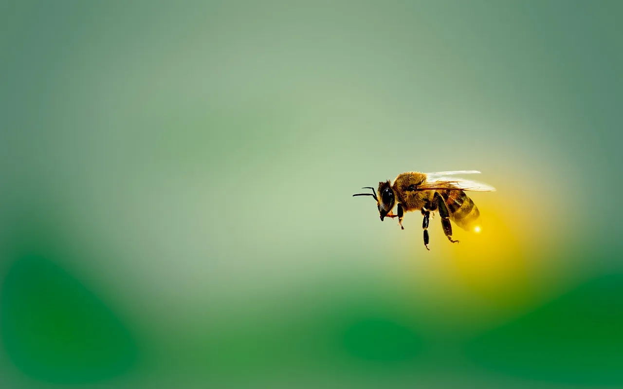 Warm Honey