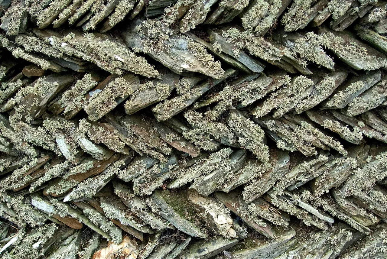 Zig Zag
